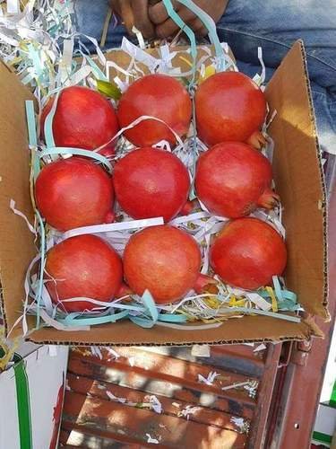 Fresh Pomegranate